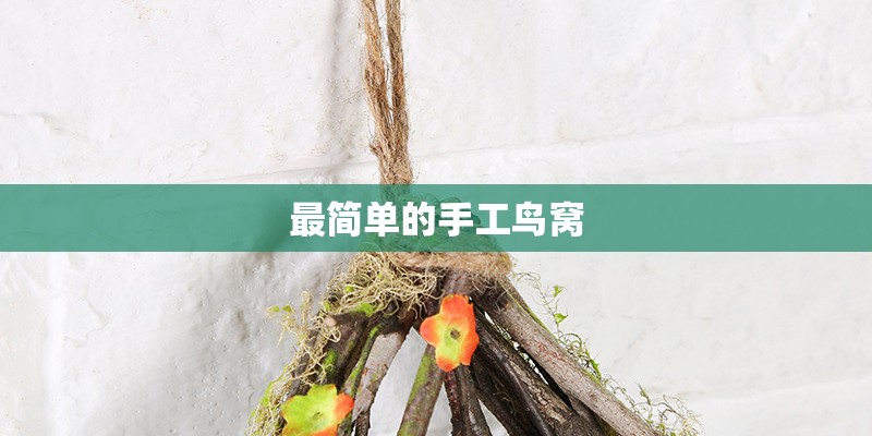 最简单的手工鸟窝