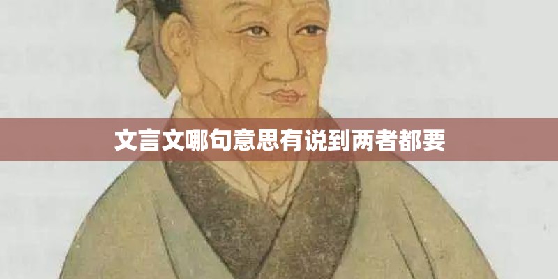 文言文哪句意思有说到两者都要