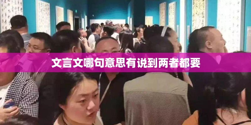 文言文哪句意思有说到两者都要