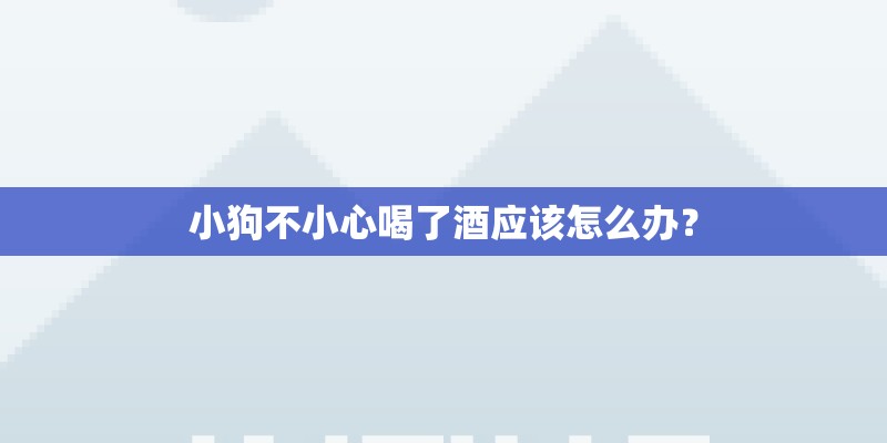 小狗不小心喝了酒应该怎么办？