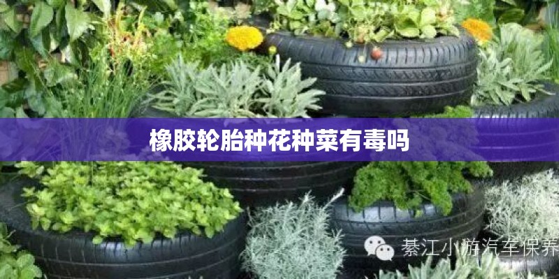橡胶轮胎种花种菜有毒吗