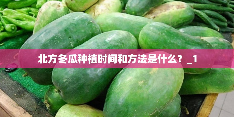 北方冬瓜种植时间和方法是什么？_1