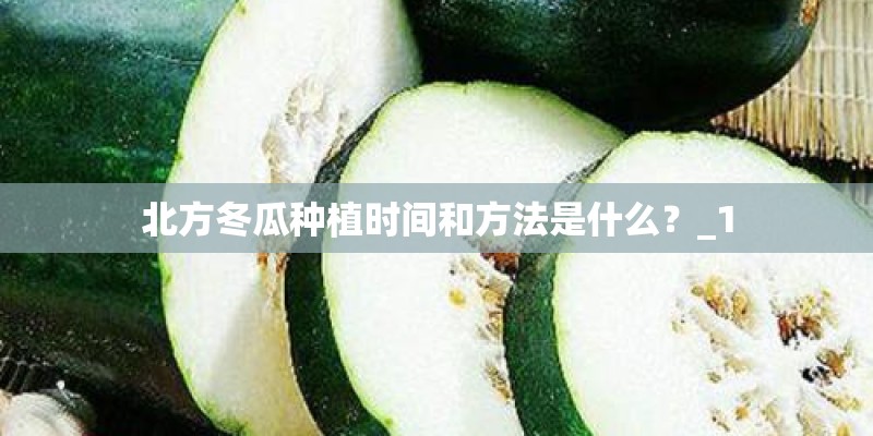 北方冬瓜种植时间和方法是什么？_1