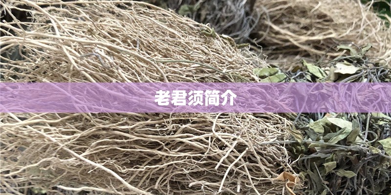 老君须简介