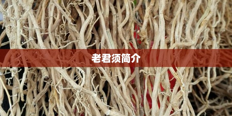 老君须简介