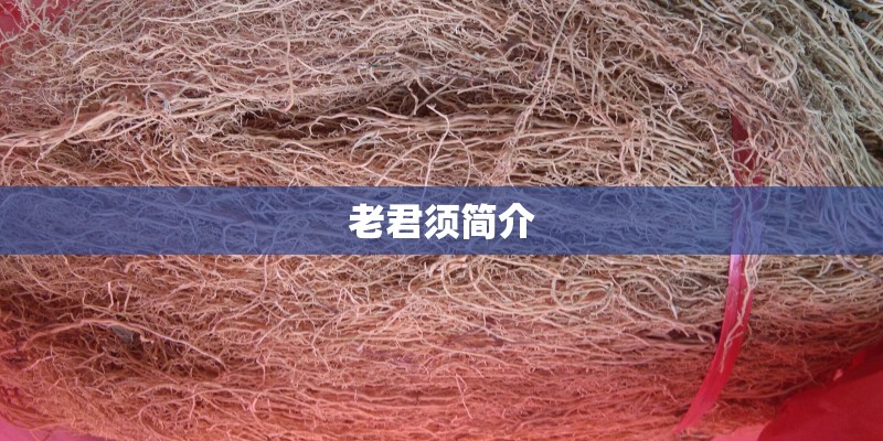 老君须简介