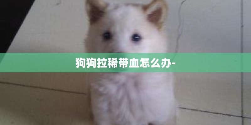 狗狗拉稀带血怎么办-
