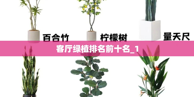客厅绿植排名前十名_1