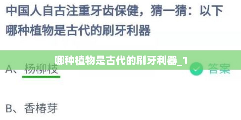 哪种植物是古代的刷牙利器_1