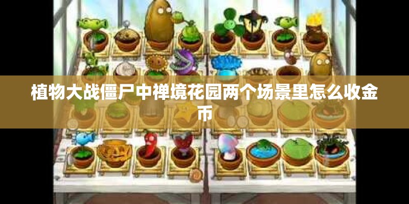 植物大战僵尸中禅境花园两个场景里怎么收金币