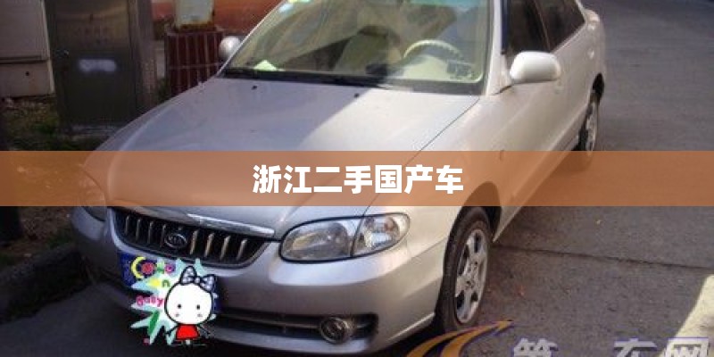 浙江二手国产车
