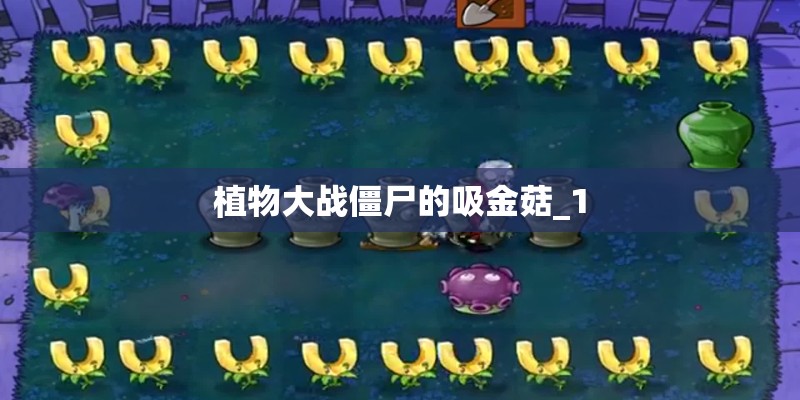 植物大战僵尸的吸金菇_1