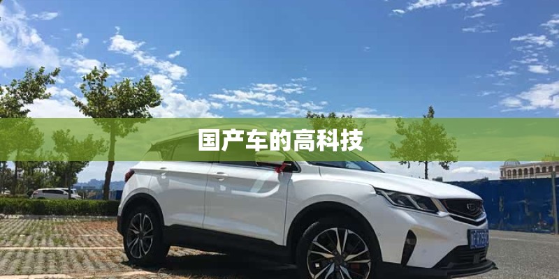 国产车的高科技