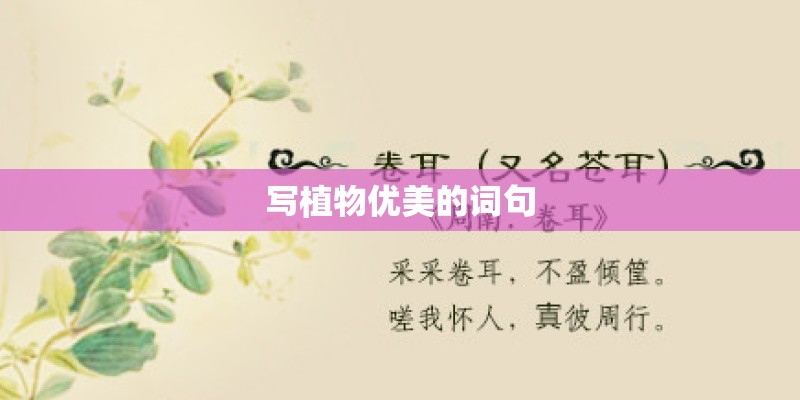 写植物优美的词句