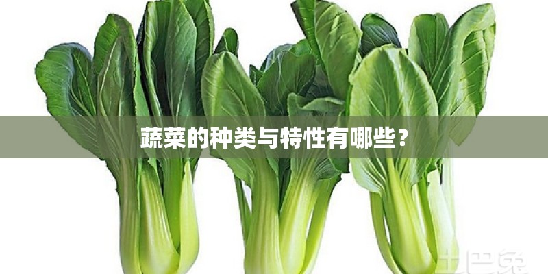 蔬菜的种类与特性有哪些？
