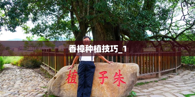香樟种植技巧_1