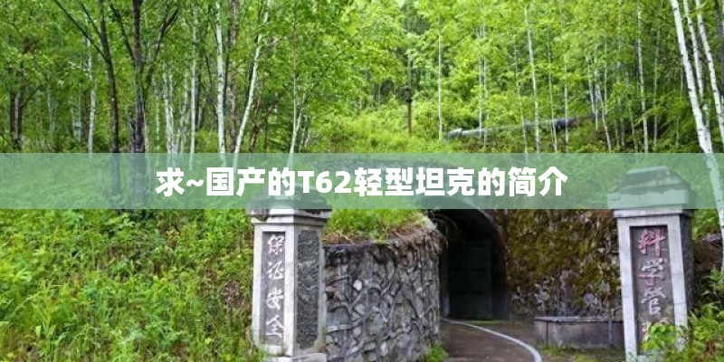 求~国产的T62轻型坦克的简介