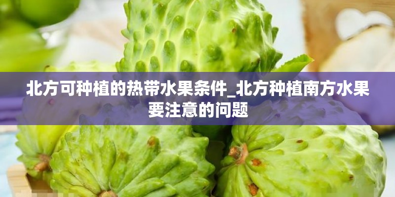 北方可种植的热带水果条件_北方种植南方水果要注意的问题