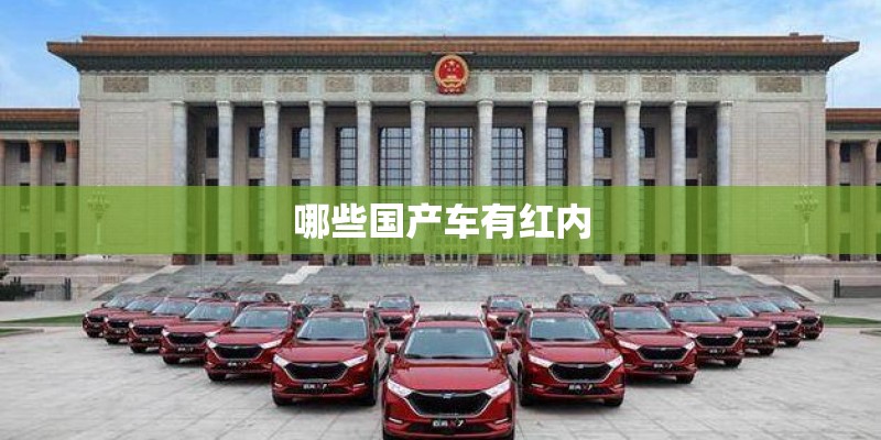 哪些国产车有红内