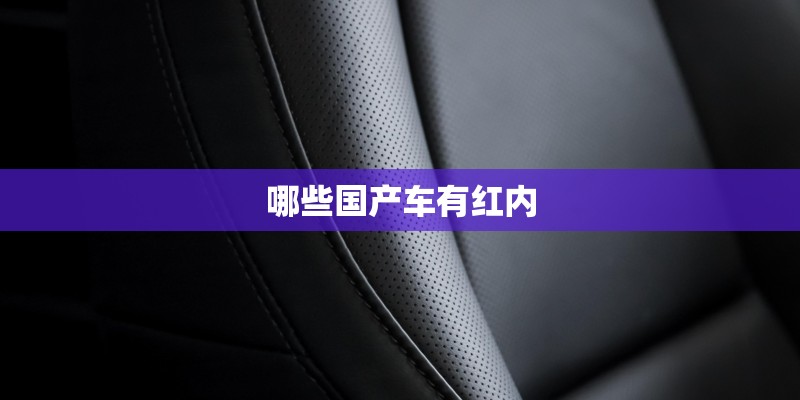 哪些国产车有红内