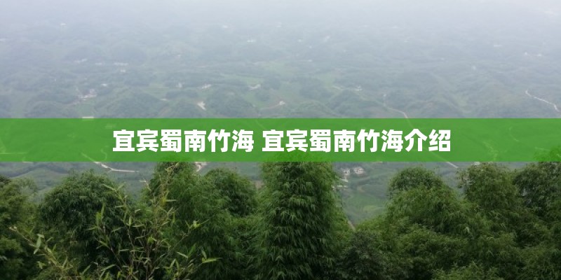 宜宾蜀南竹海 宜宾蜀南竹海介绍