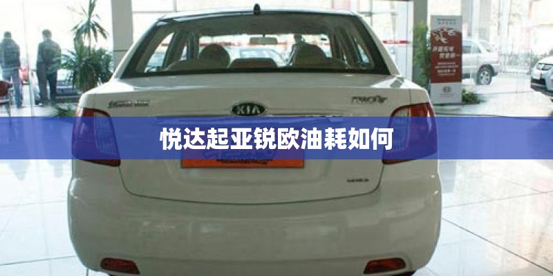 悦达起亚锐欧油耗如何