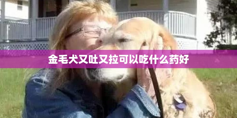 金毛犬又吐又拉可以吃什么药好