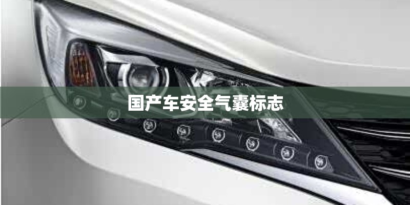 国产车安全气囊标志