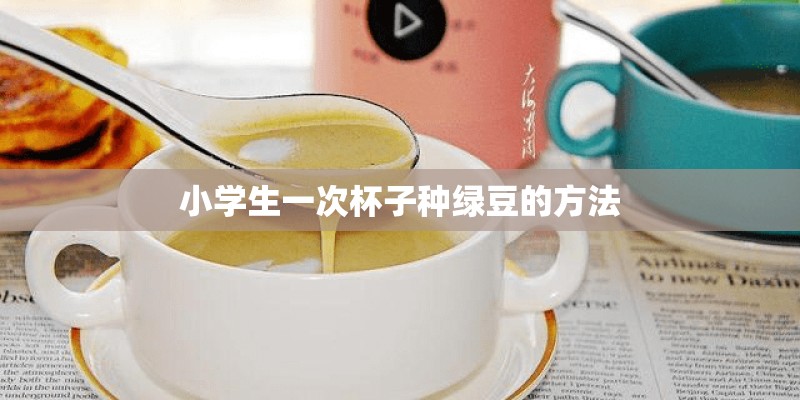 小学生一次杯子种绿豆的方法