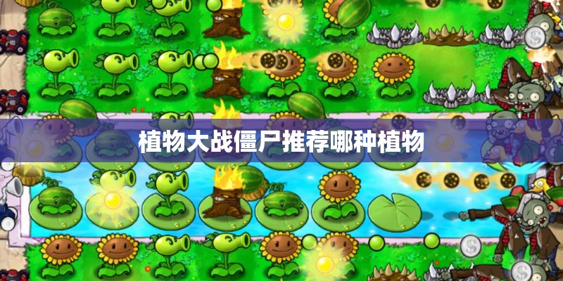 植物大战僵尸推荐哪种植物