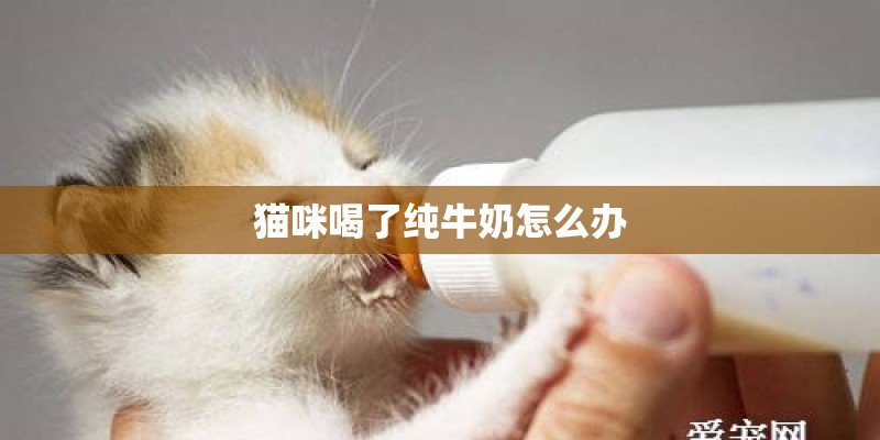 猫咪喝了纯牛奶怎么办 猫咪喝了纯牛奶怎么办