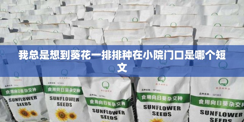 我总是想到葵花一排排种在小院门口是哪个短文
