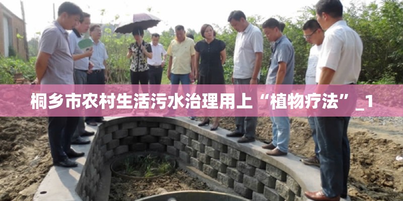 桐乡市农村生活污水治理用上“植物疗法”_1