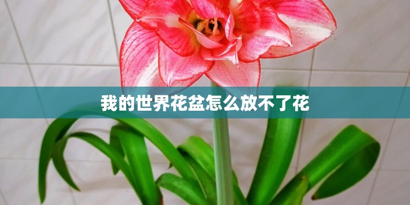 我的世界花盆怎么放不了花