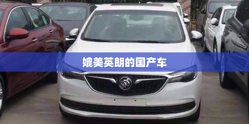 媲美英朗的国产车