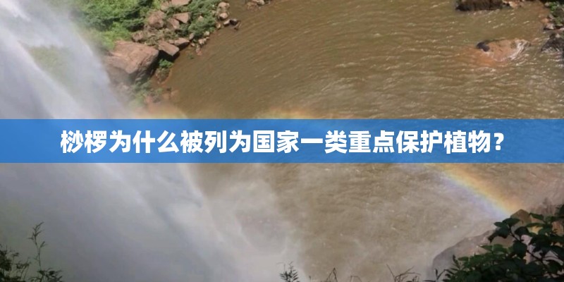桫椤为什么被列为国家一类重点保护植物？