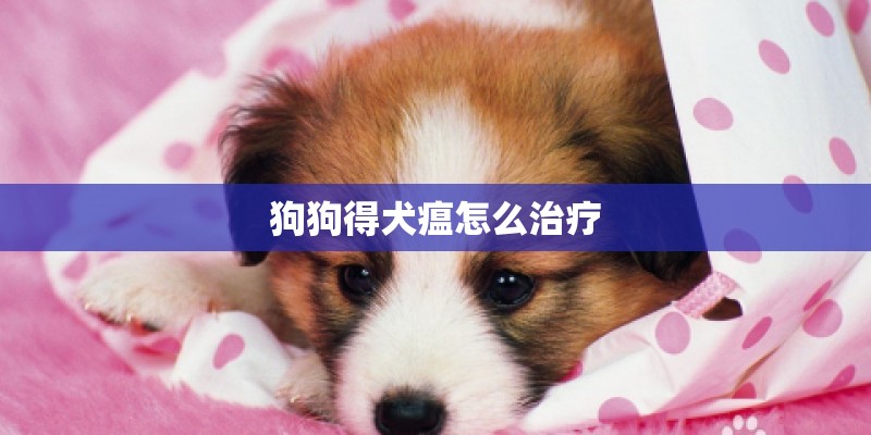 狗狗得犬瘟怎么治疗