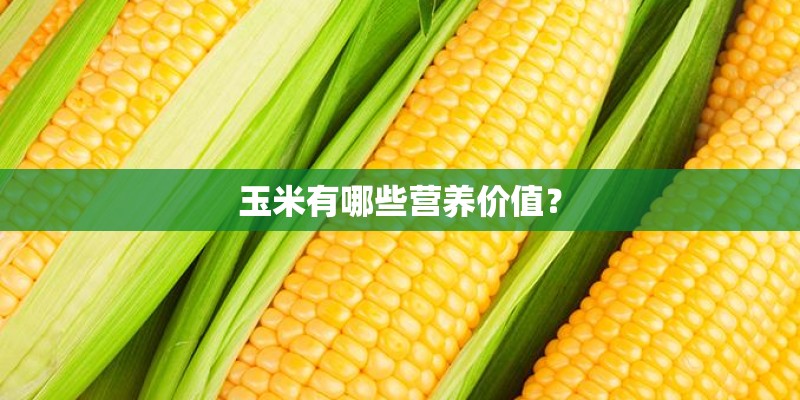 玉米有哪些营养价值？