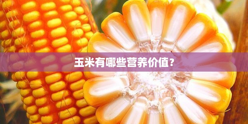 玉米有哪些营养价值？