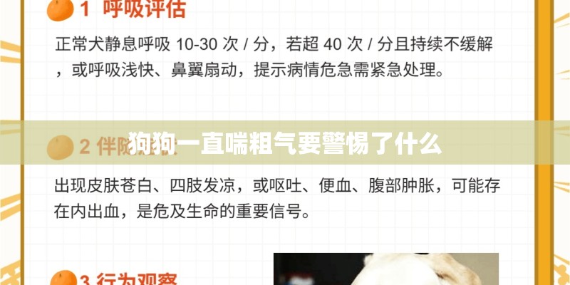 狗狗一直喘粗气要警惕了什么