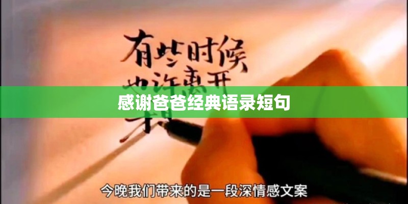 感谢爸爸经典语录短句