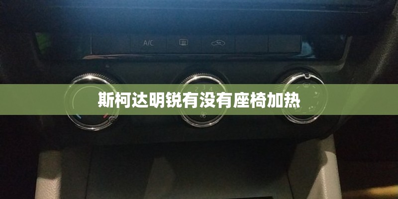 斯柯达明锐有没有座椅加热
