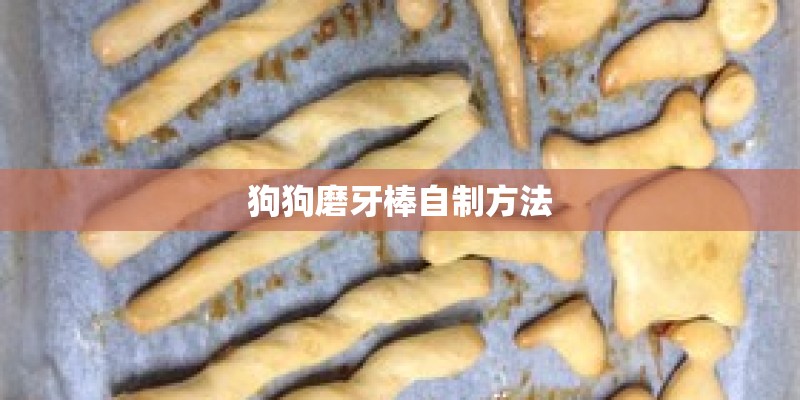 狗狗磨牙棒自制方法