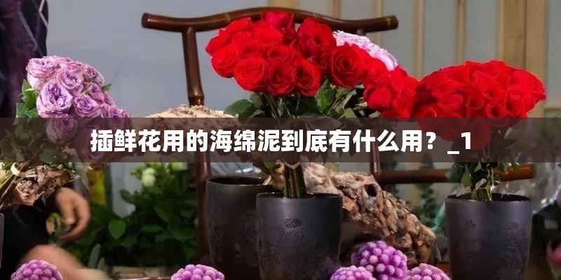插鲜花用的海绵泥到底有什么用？_1