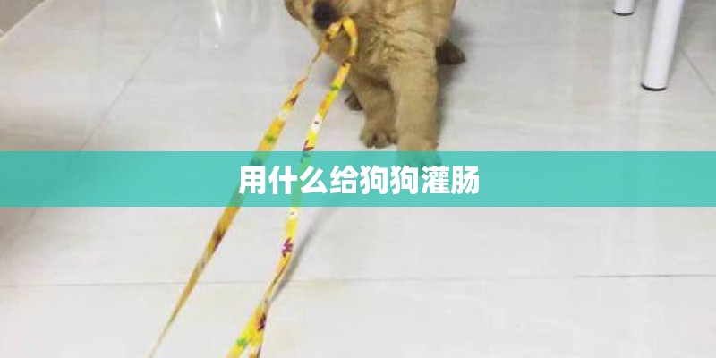用什么给狗狗灌肠