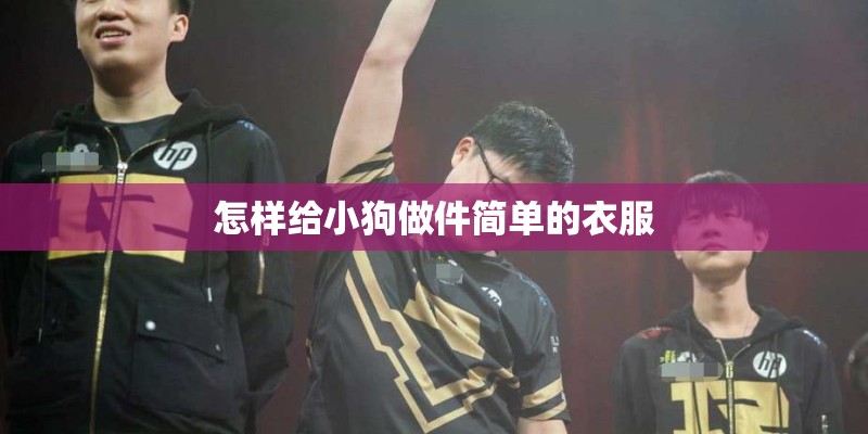 怎样给小狗做件简单的衣服