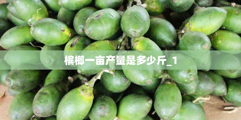 槟榔一亩产量是多少斤_1