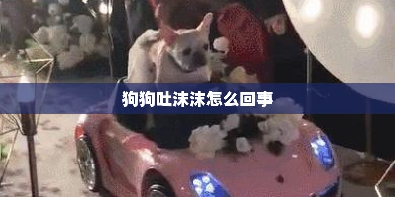 狗狗吐沫沫怎么回事