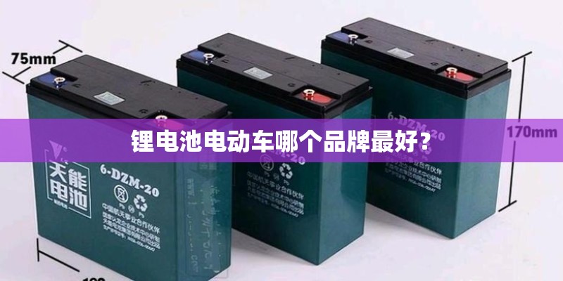锂电池电动车哪个品牌最好？