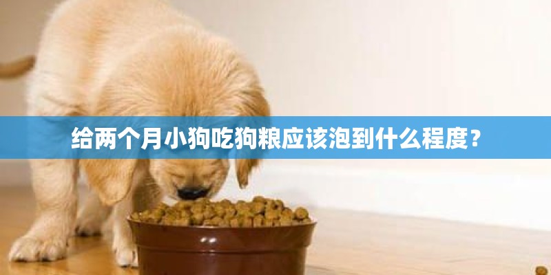 给两个月小狗吃狗粮应该泡到什么程度？